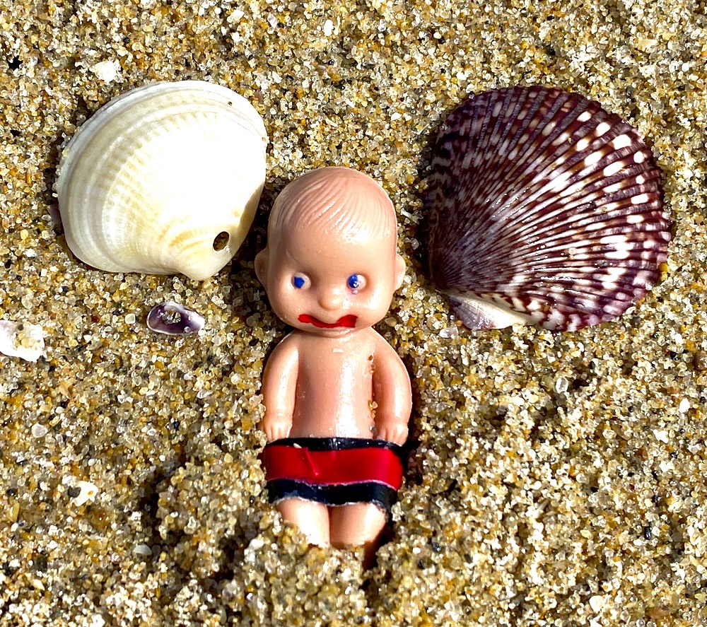 Brutus Baby and the Seashells 30